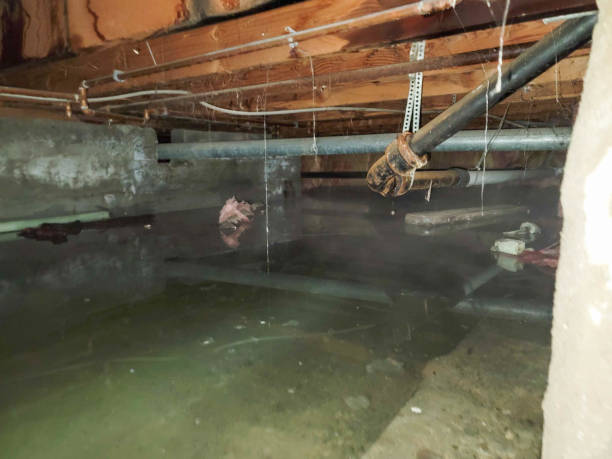 Best Residential Water Damage Restoration in USA